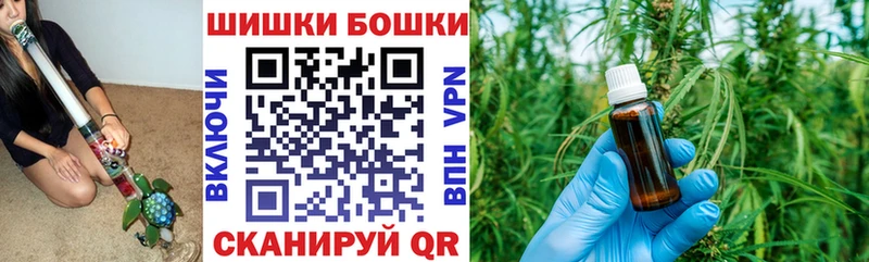 как найти наркотики  Ставрополь  Марихуана сатива 